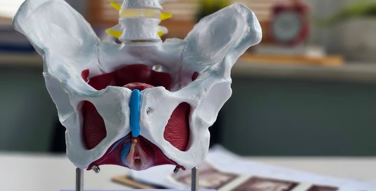 Femme pratiquant des exercices de respiration et de conscience corporelle