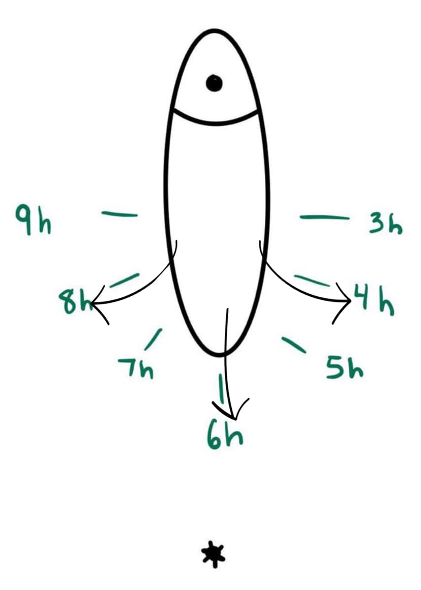 Étape 4 - Étirement de la musculature périnéale